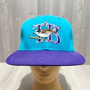Vintage DeLong TB Bird Logo Snapback Hat Teal Purple Made in‎ USA Mens Cap